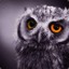 Ownage Owls