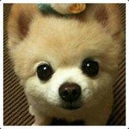 Taiwan mentally retarded dog