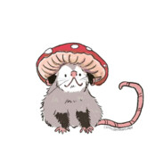 Opossumenjoyer