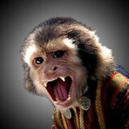 Jack the Monkey