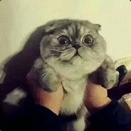 冒蓝色火焰的加特林哒