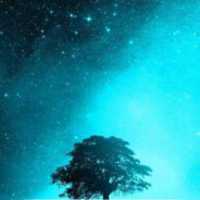 电脑玩家玛鸭啦稀