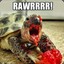 Zombie Turtle