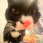 Piwko