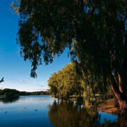 maglemose - steam id 76561198015142777