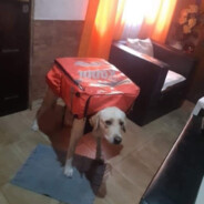 El putito