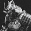 Raccoon Gaming