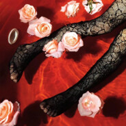 仿生拆尼斯会梦见电子核酸吗