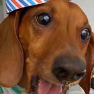 请别叫醒我的梦