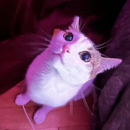 Inj3ct0r Steam avatar
