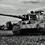 PzKpfw VI Tiger