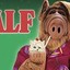 Alf