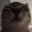 Goob