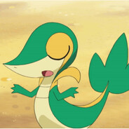 Snivy