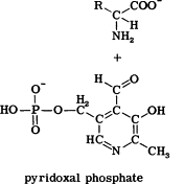 pyridoxal phosphate