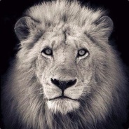 RAM-TIME avatar