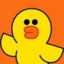 Kassin