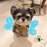 大美女驾到通通闪开