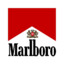 Marlboro Reds