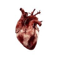 *: .meat