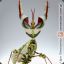 StonedMantis