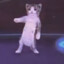 Sorsogon krazy Cat