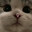 Ley's Avatar