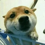 丢掉梦想的老咸鱼