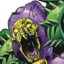 Annihilus