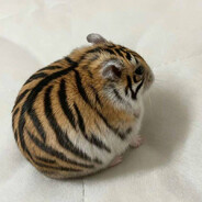 мама вызывай такс - steam id 76561199073357654