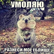 Какашкаебунчик - steam id 76561199070179730