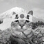 Steam avatar