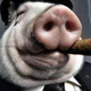 ? PIG ?
