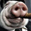 ? PIG ?