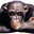 Nikower avatar