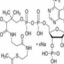 生物化学高手