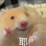 说鸡不说吧文明你我他