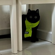 春风不及她眉眼