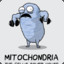 Mitochondria (P.B)