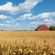 Field