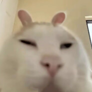 无敌旋风牛肉面