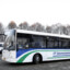 Avtobus181