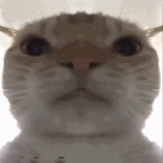 哈基米哦南北绿豆