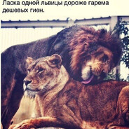 Аватар мсмк по куни