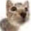 Mister_T