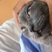 千山鸟飞绝，万径人踪灭