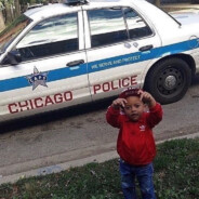 санек абрикос