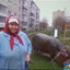 The Russian Babushka