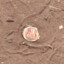 Chakolwa's avatar