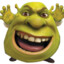 Shrek1ns